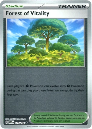 Forest of Vitality 117/132 Mega Evolution