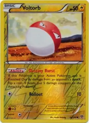 Voltorb 44/146 XY