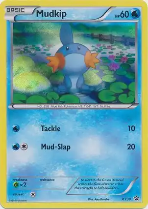 Mudkip XY38 XY Promos