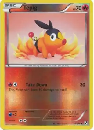 Tepig 16/114 Black & White