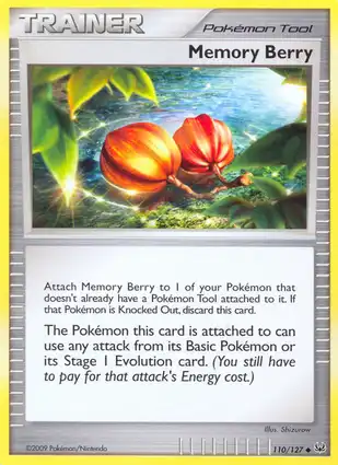 Memory Berry 110/127 Platinum
