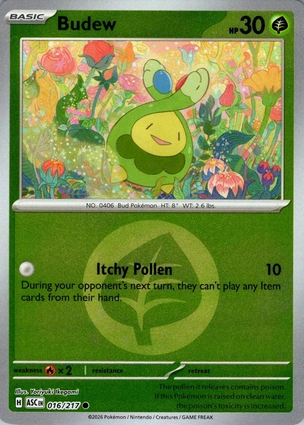 Budew 016/217 Ascended Heroes