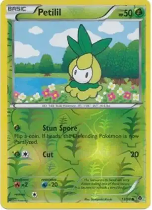 Petilil 13/98 Emerging Powers