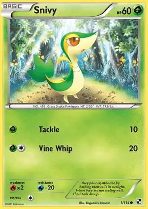 Snivy 1/114 Black & White