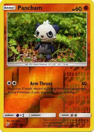 Pancham 81/181 Team Up