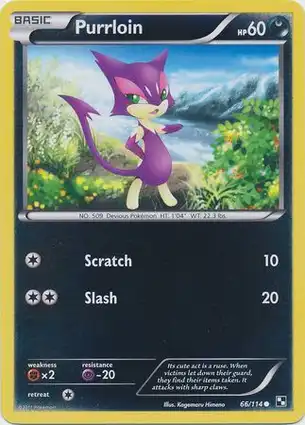 Purrloin 66/114 Black & White
