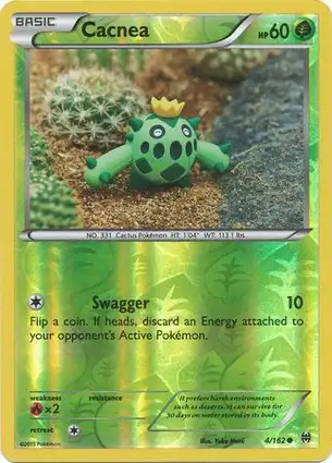 Cacnea 4/162 BREAKthrough
