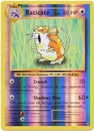 Raticate 67/108 Evolutions