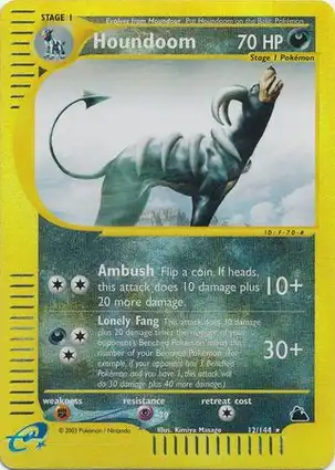 Houndoom 12/144 Skyridge