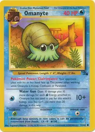 Omanyte 52/62 Fossil
