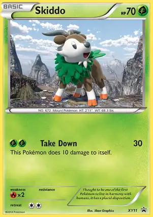 Skiddo XY11 XY Promos