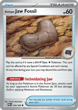 Antique Jaw Fossil 068/088 Perfect Order