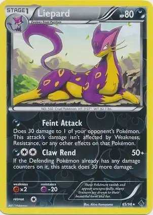 Liepard 65/98 Emerging Powers