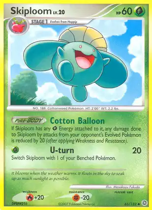 Skiploom 65/132 Secret Wonders