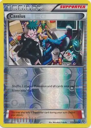 Cassius 115/146 XY