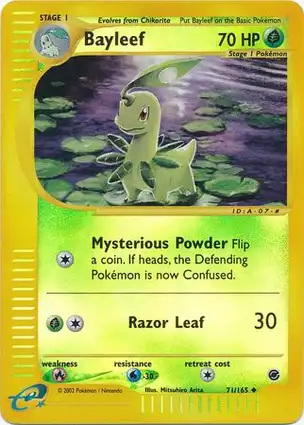 Bayleef 71/165 Expedition Base Set