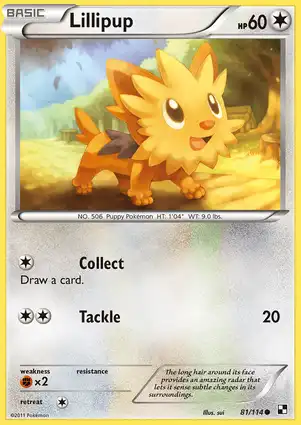 Lillipup 81/114 Black & White