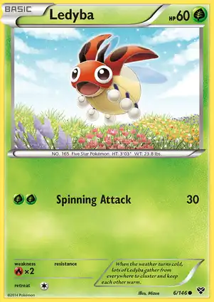 Ledyba 6/146 XY