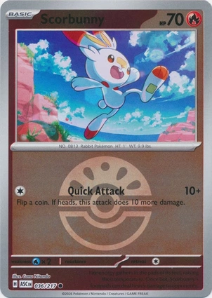 Scorbunny 036/217 Ascended Heroes
