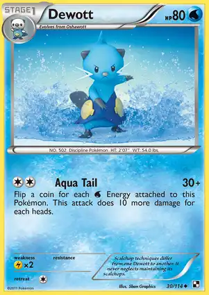 Dewott 30/114 Black & White