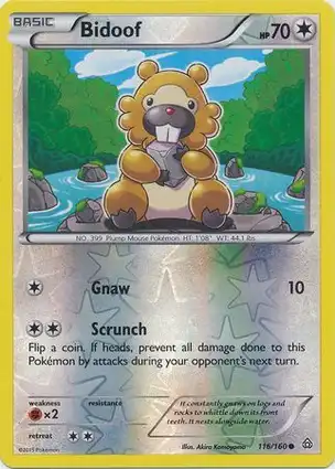 Bidoof 116/160 Primal Clash