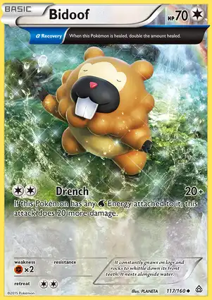 Bidoof 117/160 Primal Clash