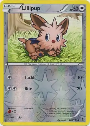 Lillipup 108/146 XY