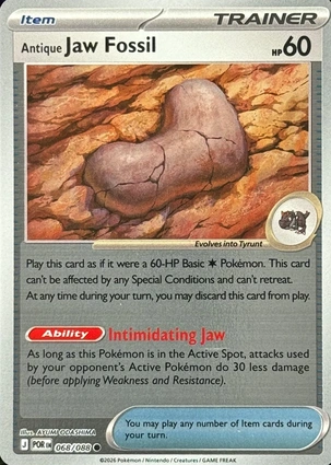Antique Jaw Fossil 068/088 Perfect Order
