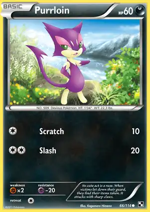 Purrloin 66/114 Black & White
