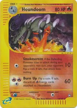 Houndoom 14/147 Aquapolis