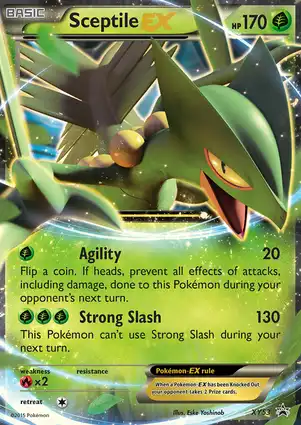 Sceptile EX XY53 XY Promos