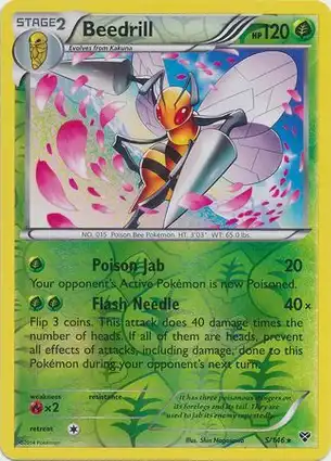 Beedrill 5/146 XY