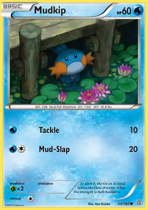 Mudkip 33/160 Primal Clash