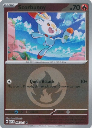 Scorbunny 036/217 Ascended Heroes