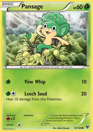 Pansage 10/146 XY