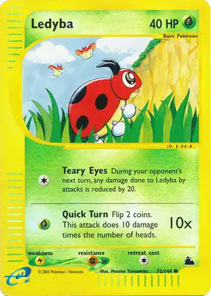 Ledyba 72/144 Skyridge