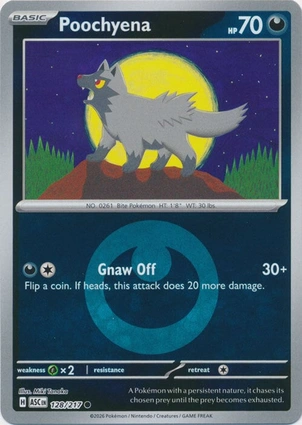 Poochyena 128/217 Ascended Heroes