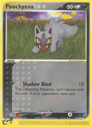 Poochyena 65/109 EX Ruby & Sapphire