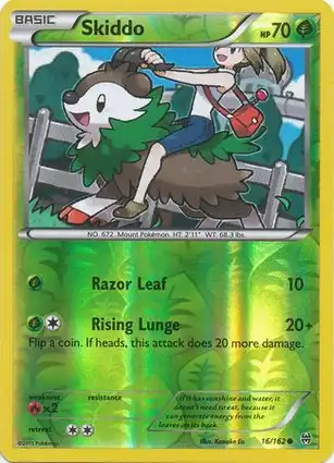 Skiddo 16/162 BREAKthrough