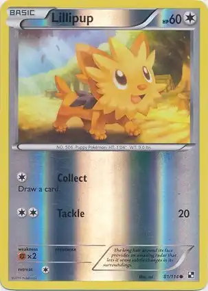 Lillipup 81/114 Black & White