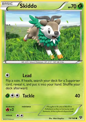 Skiddo 18/146 XY