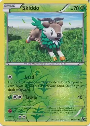 Skiddo 18/146 XY