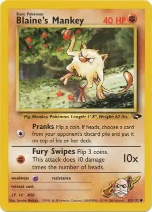 Blaine's Mankey 63/132 Gym Challenge