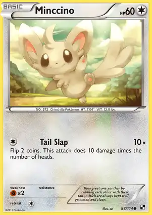 Minccino 88/114 Black & White