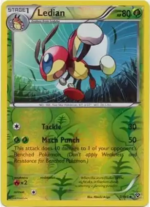 Ledian 7/146 XY