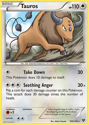 Tauros 100/146 XY