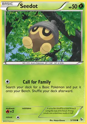 Seedot 5/106 Flashfire