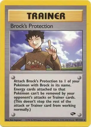 Brock's Protection 101/132 Gym Challenge