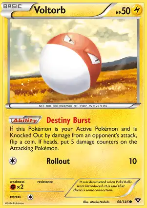 Voltorb 44/146 XY