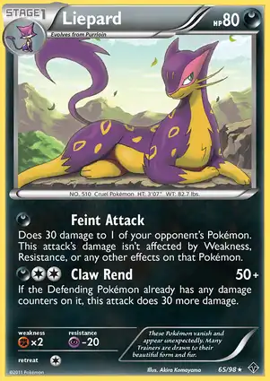 Liepard 65/98 Emerging Powers